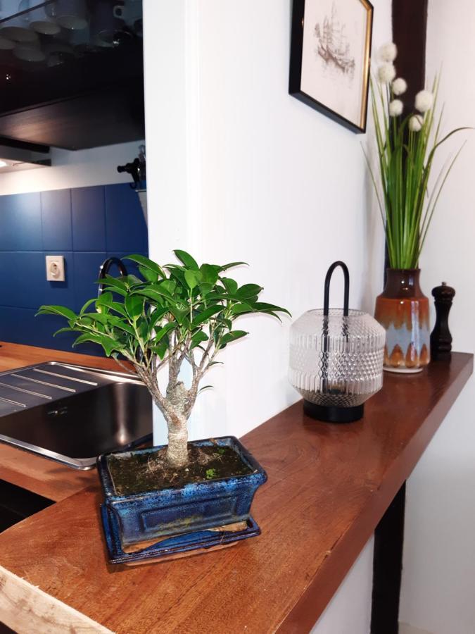 Appartement Haute Ville Meuble Avec Cour Privative Гранвил Екстериор снимка